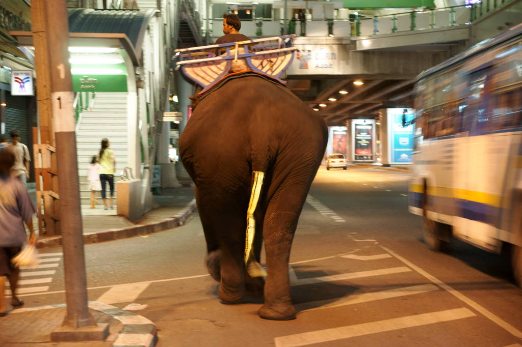 テールランプ