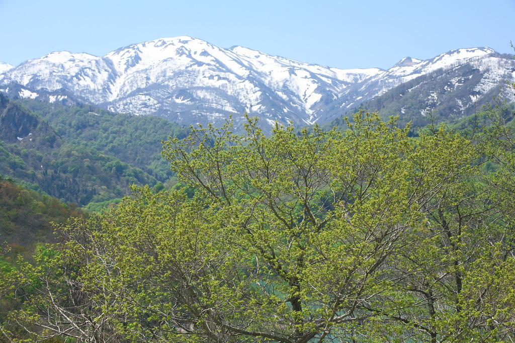 残雪の峰（２）