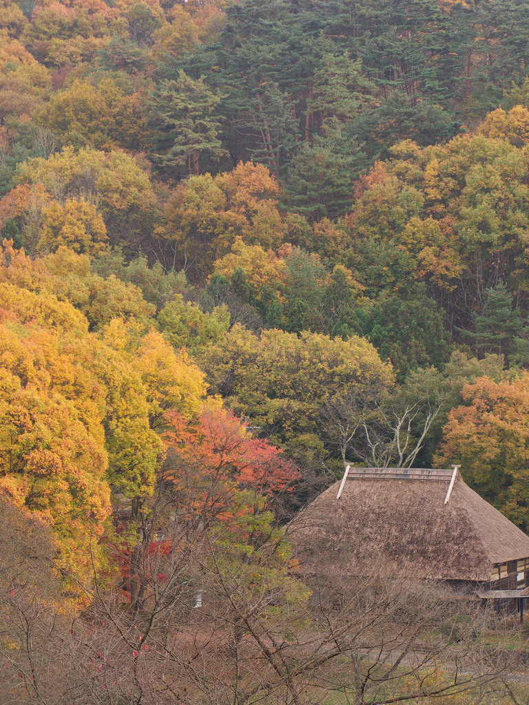 山里