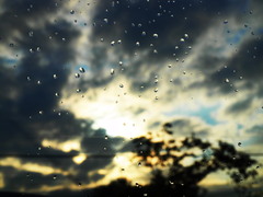 after rain