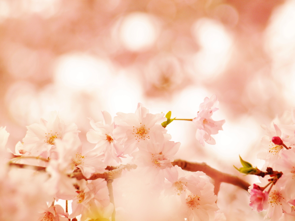 Spring is Here