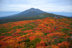 山と紅葉