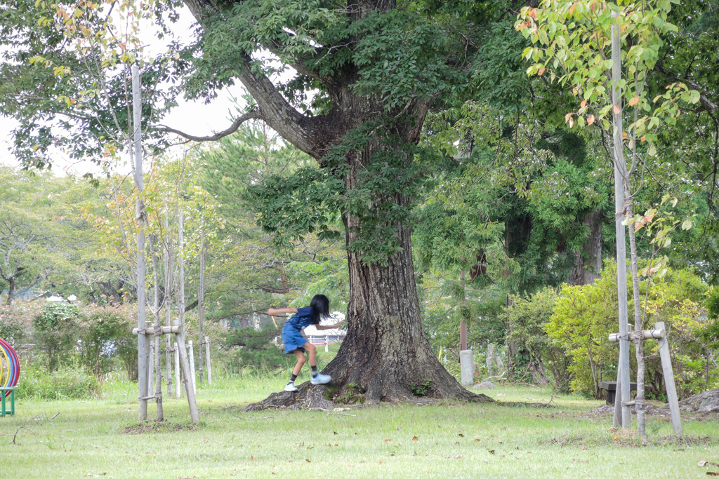 なにかしてます