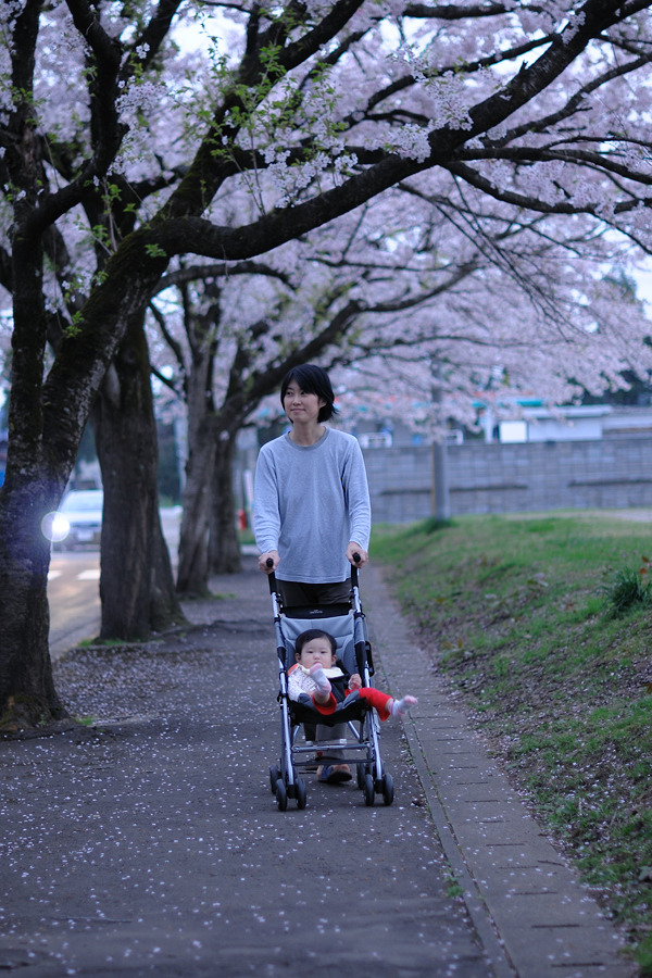 初めてのお花見