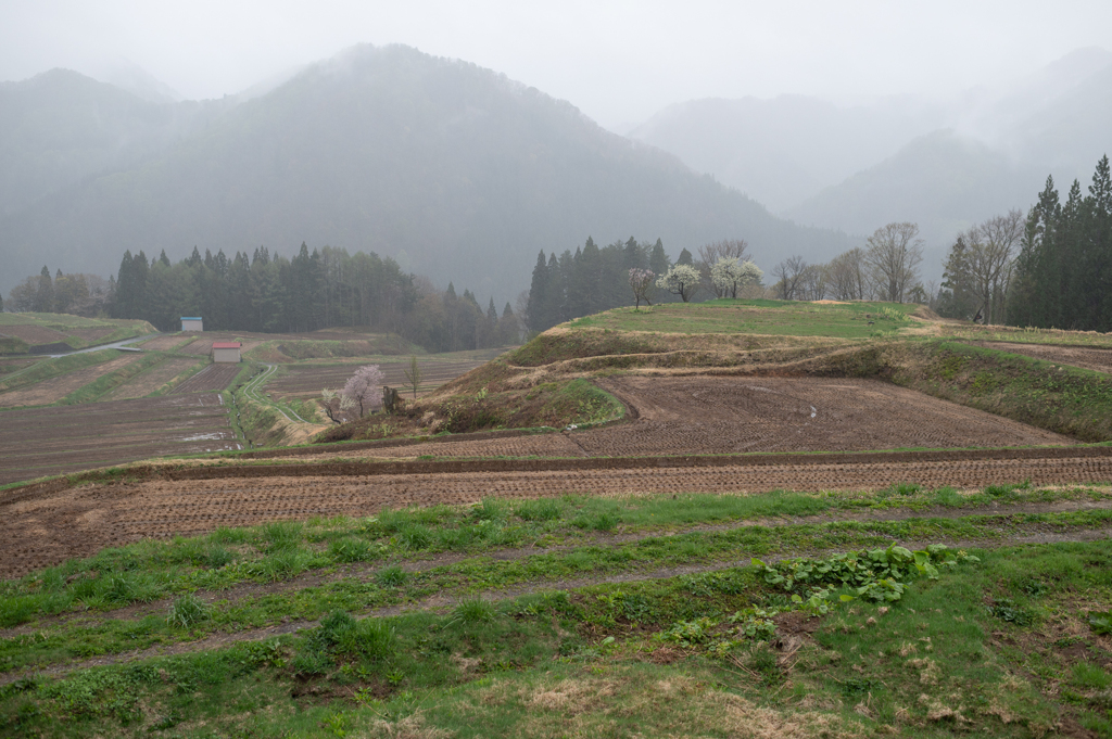 山の上の田んぼ