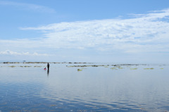 鵜ノ岬海岸の写真