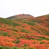 三ツ石山の紅葉