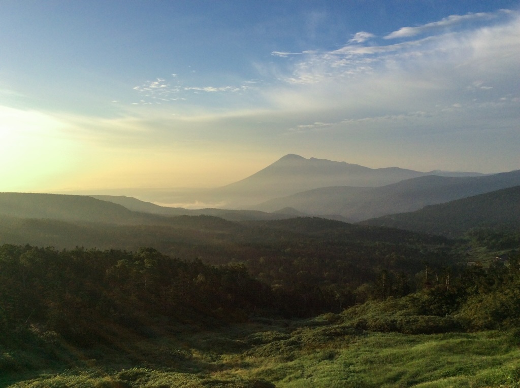 朝の光景