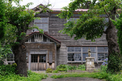 海辺の小学校