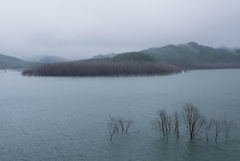 雨のダム湖
