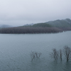 雨のダム湖