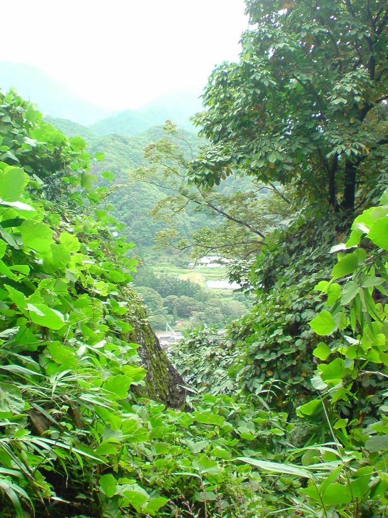 20091003100837