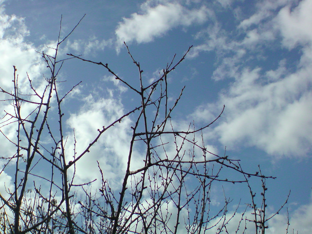 20091010132644