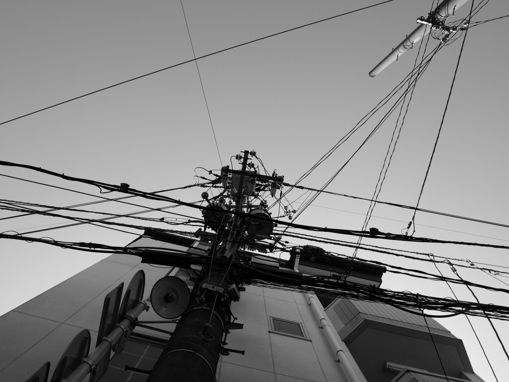 2009_1031画像0008
