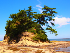 まだまだ夏色　4