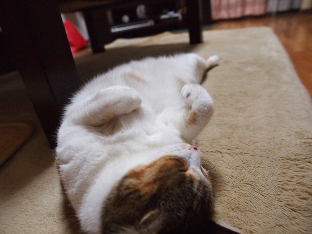 おなかいっぱい。