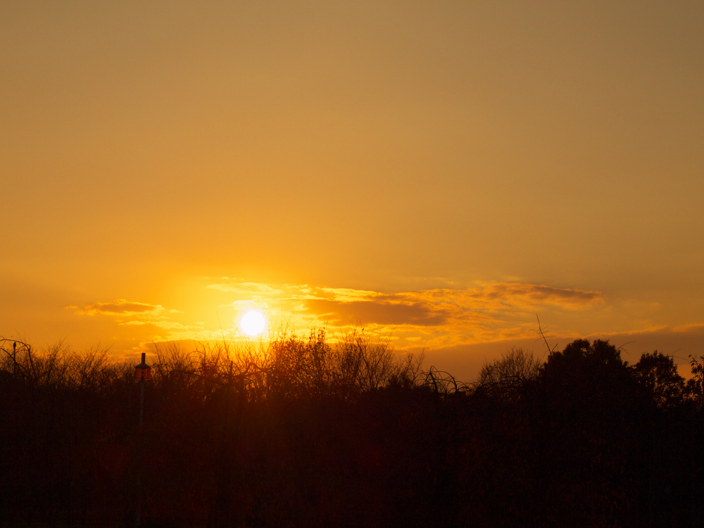 夕日