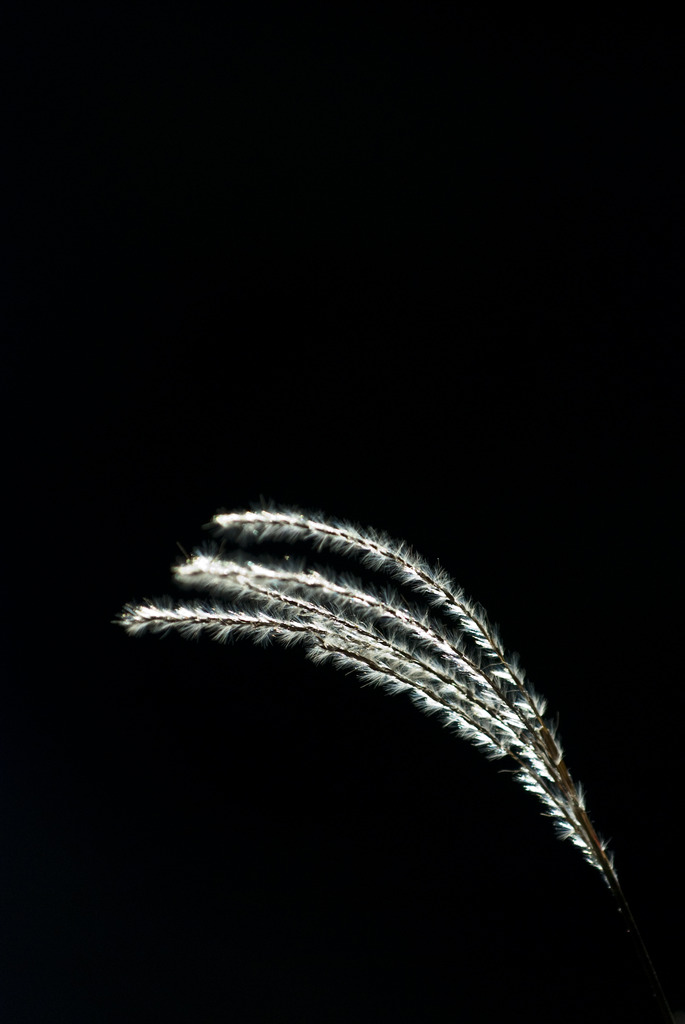 静謐