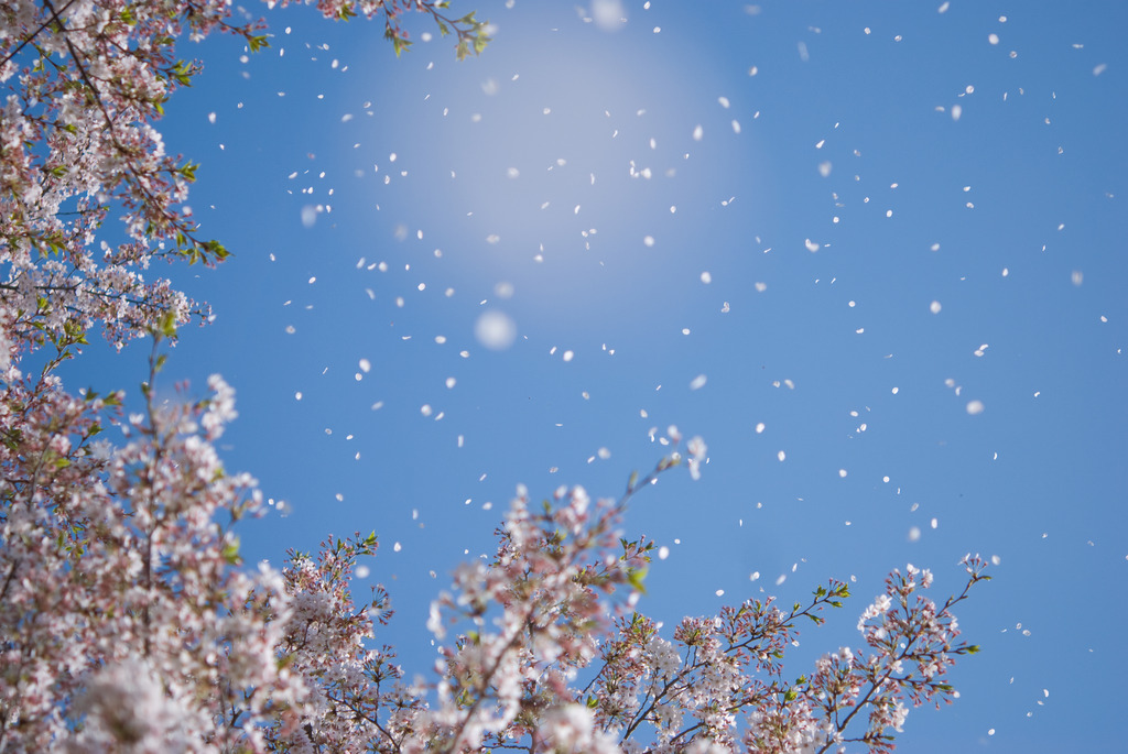 吹雪の下で僕らは・・・