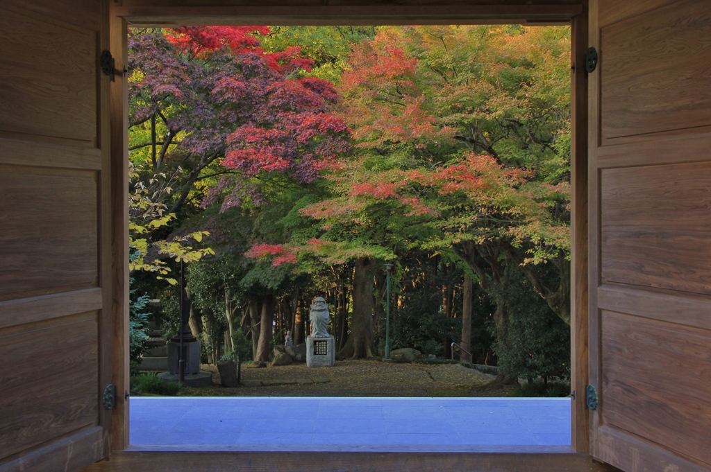 懐かしの・・・