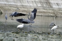 闘いは海中戦へ