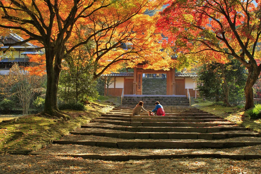 瑞応寺の階段で