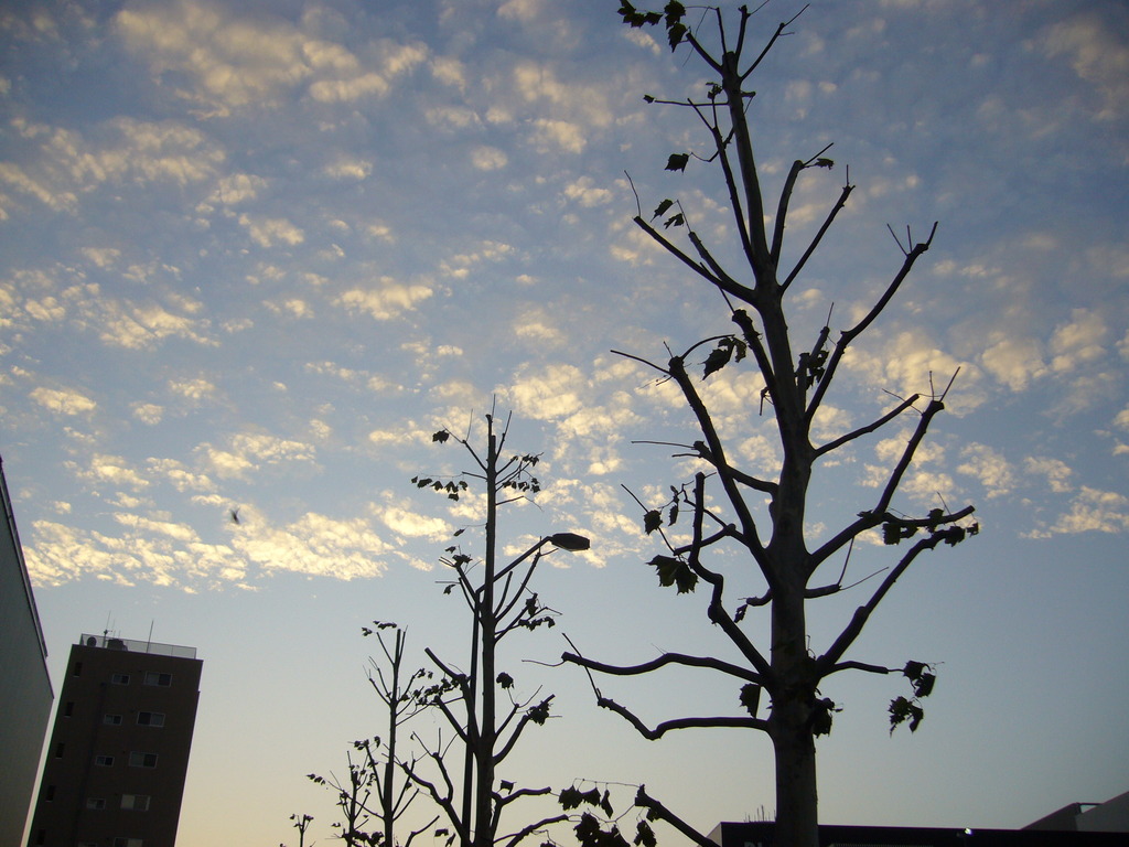 photo0005