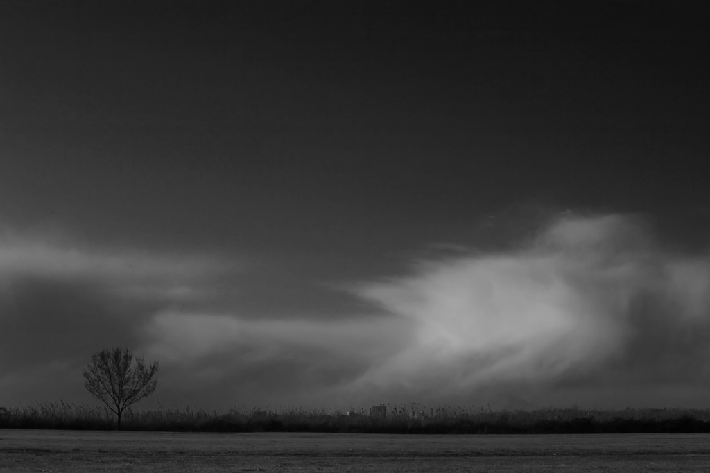 _MG_1921