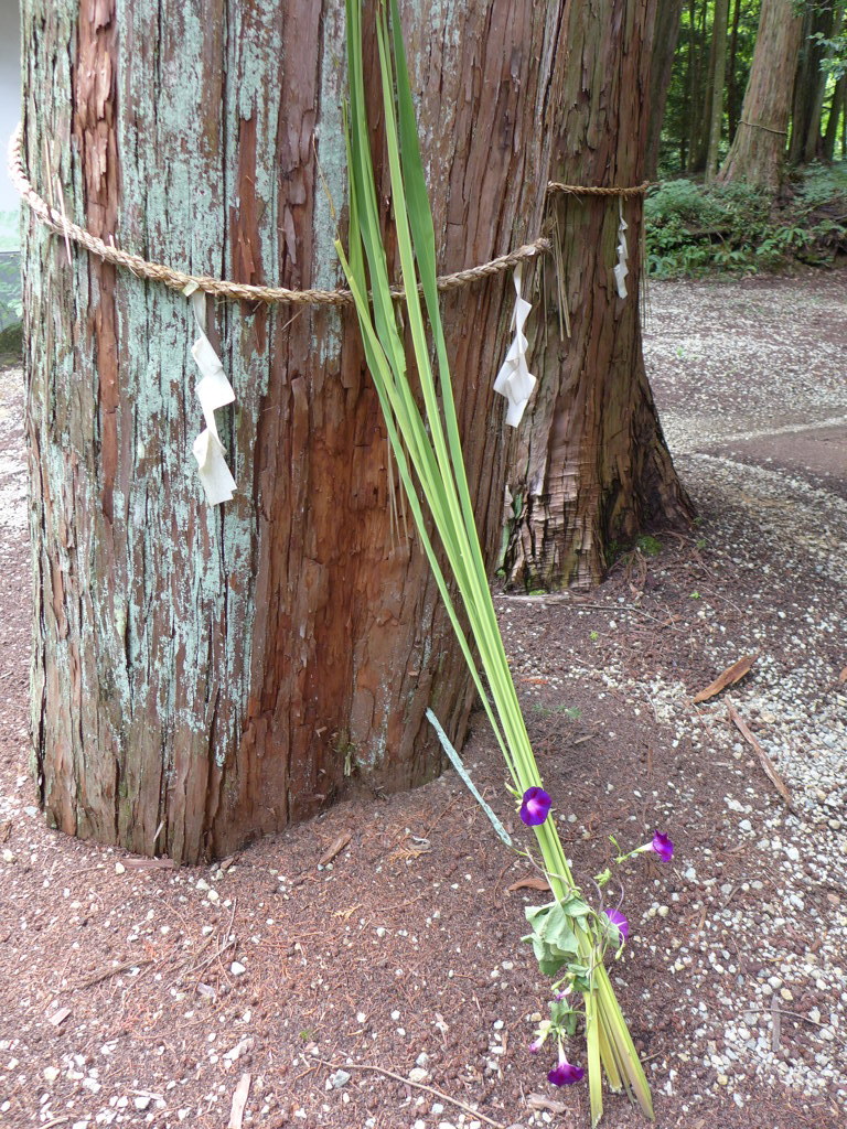 P1010534