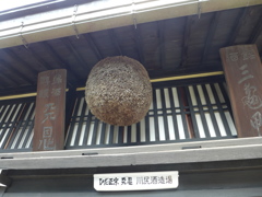 P1000809