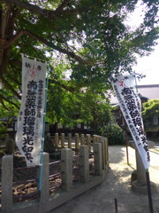 P1000862