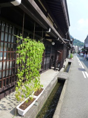 P1000818