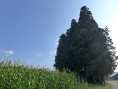 P1010141
