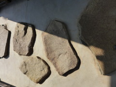 P1010294
