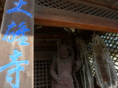 P1010231