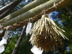 P1010259