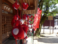 P1000891