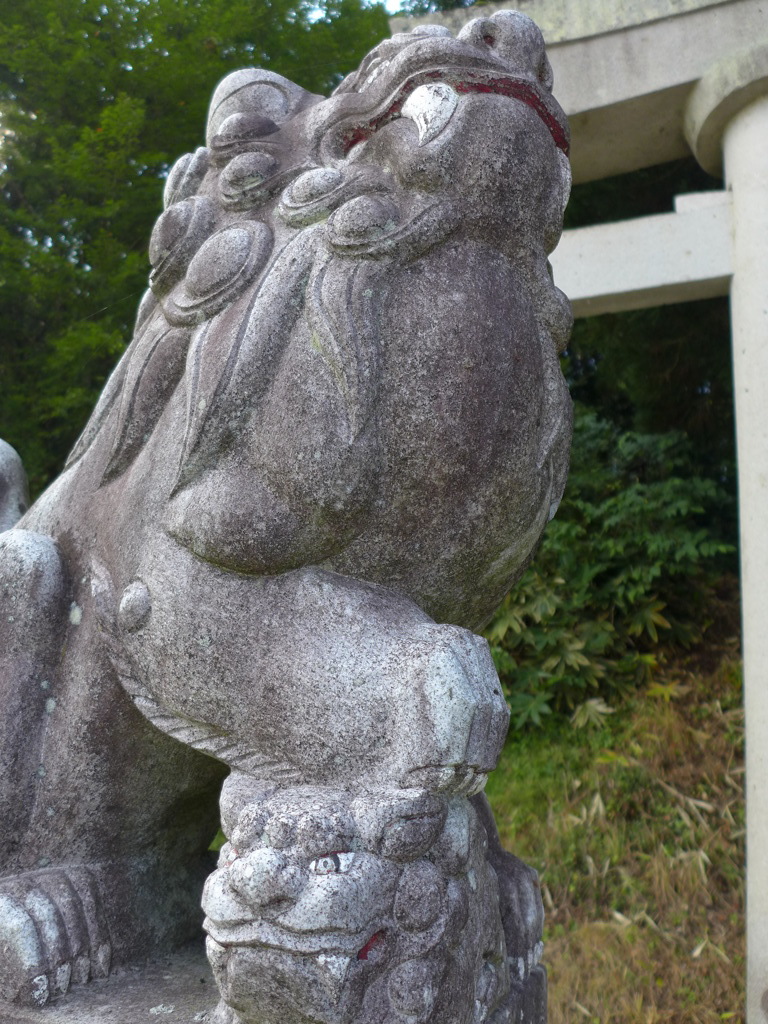 P1010688