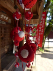 P1000889