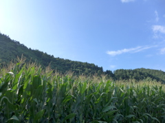 P1010154