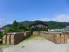 P1010096