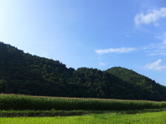 P1010148
