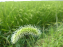 P1010140