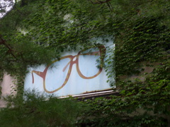 P1000722