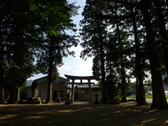 P1010169