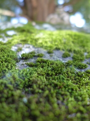 P1000854