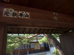 P1010317