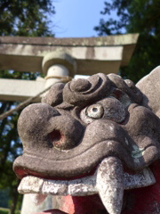 P1010189