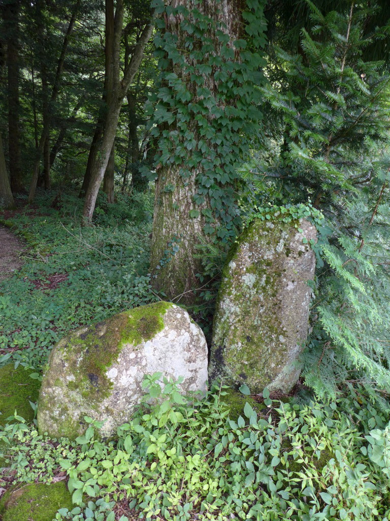 P1010564