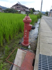 P1000701